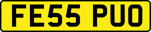 FE55PUO