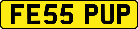 FE55PUP