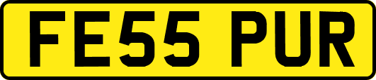 FE55PUR