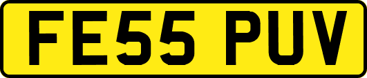 FE55PUV
