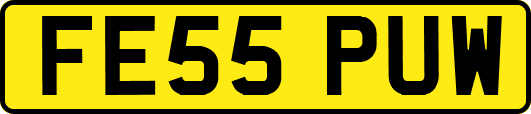 FE55PUW