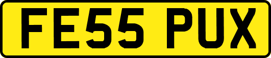 FE55PUX