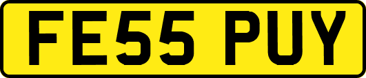 FE55PUY