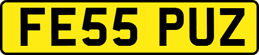 FE55PUZ