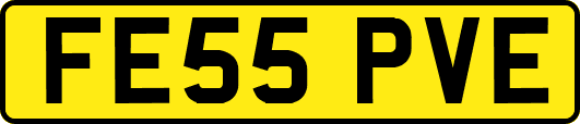 FE55PVE