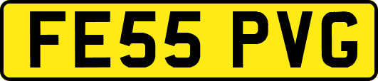FE55PVG