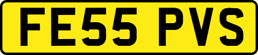 FE55PVS