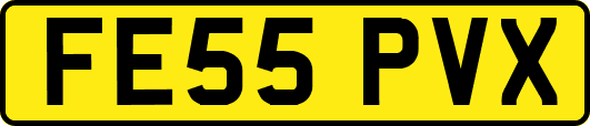 FE55PVX