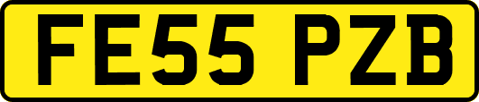 FE55PZB