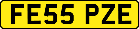 FE55PZE