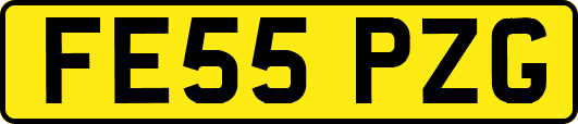 FE55PZG