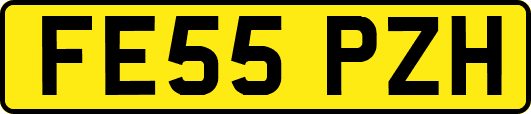 FE55PZH