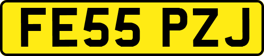 FE55PZJ