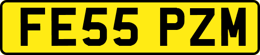 FE55PZM