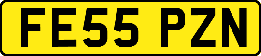 FE55PZN