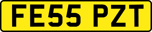 FE55PZT