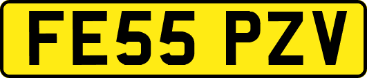 FE55PZV