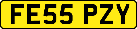 FE55PZY