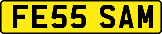 FE55SAM