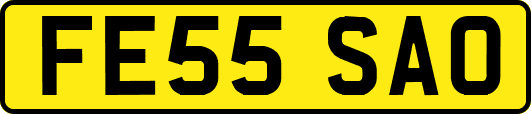 FE55SAO