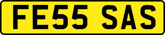 FE55SAS