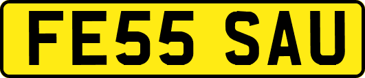 FE55SAU