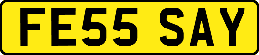 FE55SAY