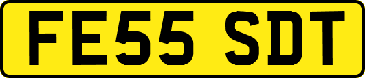 FE55SDT