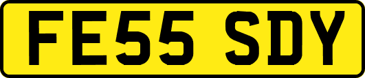 FE55SDY