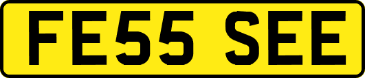 FE55SEE