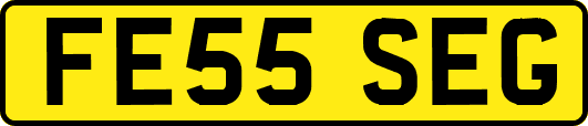 FE55SEG