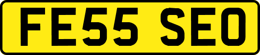 FE55SEO