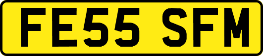 FE55SFM