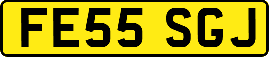 FE55SGJ