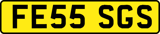 FE55SGS