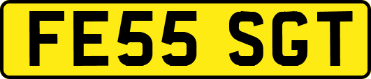FE55SGT