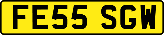 FE55SGW