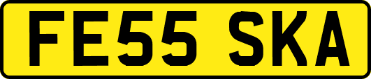 FE55SKA
