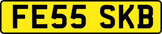 FE55SKB