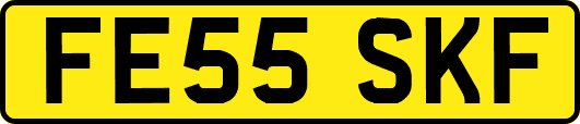FE55SKF