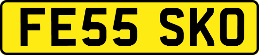 FE55SKO