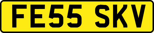 FE55SKV