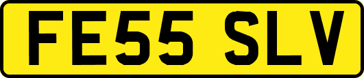 FE55SLV
