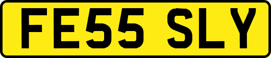 FE55SLY