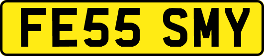 FE55SMY