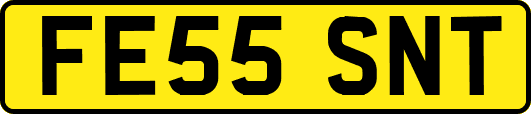 FE55SNT