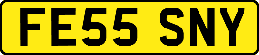 FE55SNY