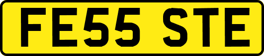 FE55STE