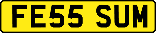 FE55SUM