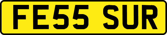 FE55SUR